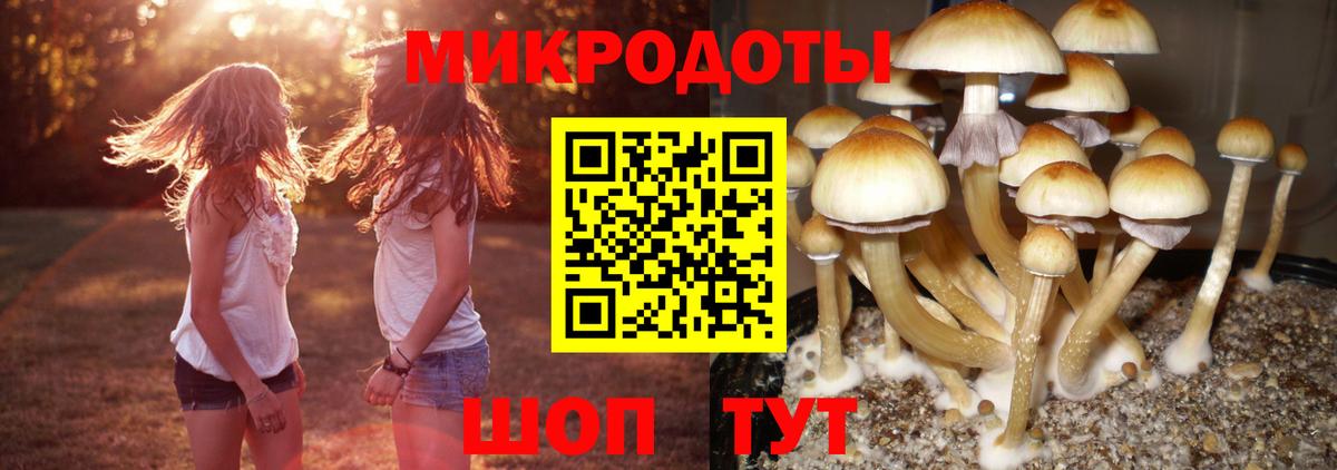 Галлюциногенные грибы мицелий Евпатория