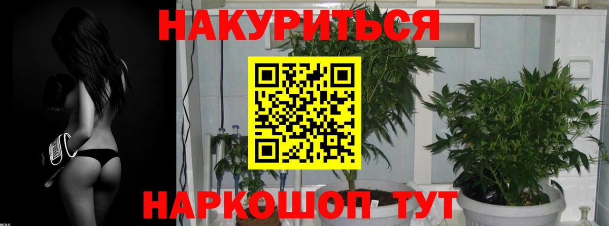 Марихуана план  Бошки марихуана SATIVA & INDICA  Шишки марихуана марихуана  Вход с VPN  Евпатория 